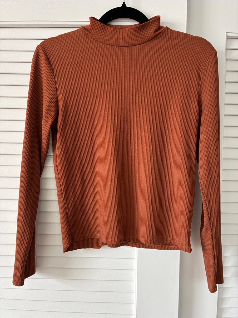 Olivia Rae Ribbed Mock Neck Long-Sleeve Top - Rusty Orange